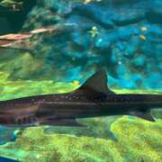 ヒメ日記 2025/05/27 21:00 投稿 りか 水戸人妻花壇