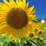 ヒメ日記 2025/06/13 16:56 投稿 みゆ ぷよラブ れぼりゅ～しょん