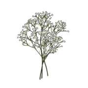 ヒメ日記 2025/07/22 23:05 投稿 みゆ ぷよラブ れぼりゅ～しょん