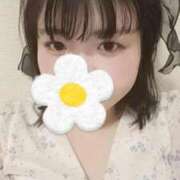 ヒメ日記 2025/08/08 12:00 投稿 みゆ ぷよラブ れぼりゅ～しょん