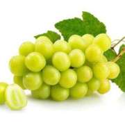 ヒメ日記 2025/09/09 23:07 投稿 みゆ ぷよラブ れぼりゅ～しょん