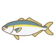 ヒメ日記 2025/09/16 01:17 投稿 みゆ ぷよラブ れぼりゅ～しょん