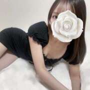 ヒメ日記 2026/04/03 14:31 投稿 立花はるか マダムと紳士