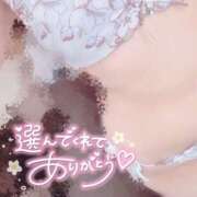 ヒメ日記 2025/11/05 13:37 投稿 めい 栃木小山ちゃんこ