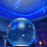 ヒメ日記 2025/11/28 23:00 投稿 めい 栃木小山ちゃんこ