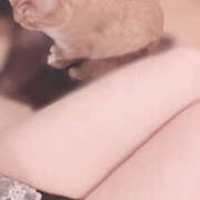 ヒメ日記 2025/12/03 19:32 投稿 めい 栃木小山ちゃんこ