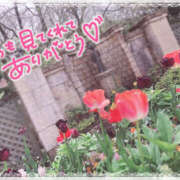 ヒメ日記 2025/12/26 22:10 投稿 めい 栃木小山ちゃんこ