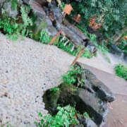 ヒメ日記 2025/12/28 18:30 投稿 めい 栃木小山ちゃんこ