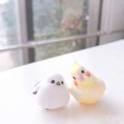 ヒメ日記 2026/01/15 14:00 投稿 めい 栃木小山ちゃんこ