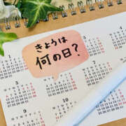 ヒメ日記 2026/02/13 10:00 投稿 めい 栃木小山ちゃんこ