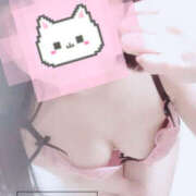 ヒメ日記 2026/02/22 07:40 投稿 めい 栃木小山ちゃんこ