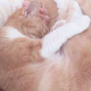 ヒメ日記 2026/02/22 07:55 投稿 めい 栃木小山ちゃんこ