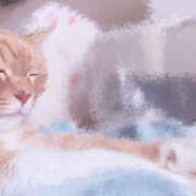 ヒメ日記 2026/02/22 18:30 投稿 めい 栃木小山ちゃんこ