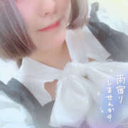 ヒメ日記 2026/03/24 22:10 投稿 めい 栃木小山ちゃんこ