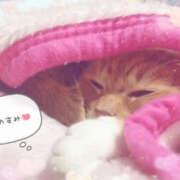 ヒメ日記 2026/04/01 23:46 投稿 めい 栃木小山ちゃんこ