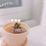 ヒメ日記 2026/04/04 09:19 投稿 めい 栃木小山ちゃんこ