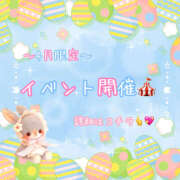 ヒメ日記 2026/04/28 10:00 投稿 めい 栃木小山ちゃんこ