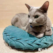 ヒメ日記 2025/08/13 14:39 投稿 もね 大塚 虹いろ回春