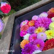 ヒメ日記 2025/11/05 11:15 投稿 もね 大塚 虹いろ回春