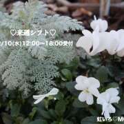 ヒメ日記 2025/12/06 15:36 投稿 もね 大塚 虹いろ回春