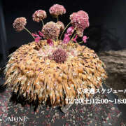 ヒメ日記 2025/12/13 17:09 投稿 もね 大塚 虹いろ回春