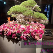 ヒメ日記 2025/12/31 17:16 投稿 もね 大塚 虹いろ回春