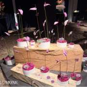 ヒメ日記 2026/02/04 11:32 投稿 もね 大塚 虹いろ回春