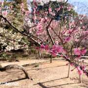 ヒメ日記 2026/02/11 11:28 投稿 もね 大塚 虹いろ回春