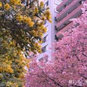 ヒメ日記 2026/03/25 11:20 投稿 もね 大塚 虹いろ回春