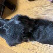 ヒメ日記 2026/03/07 22:26 投稿 マシロ Club Reve ～レーヴ～