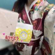 ヒメ日記 2025/06/28 04:14 投稿 なぎ いざ候 別館