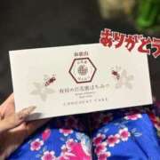 ヒメ日記 2025/11/15 00:44 投稿 なぎ いざ候 別館