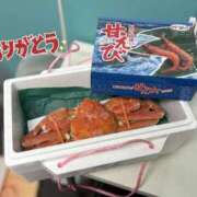 ヒメ日記 2026/01/02 19:44 投稿 なぎ いざ候 別館