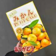 ヒメ日記 2026/01/04 00:22 投稿 なぎ いざ候 別館