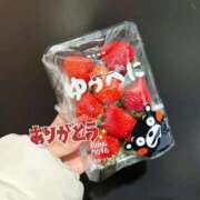 ヒメ日記 2026/01/31 00:04 投稿 なぎ いざ候 別館