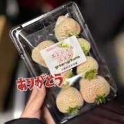 ヒメ日記 2026/03/05 23:56 投稿 なぎ いざ候 別館