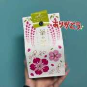 ヒメ日記 2026/04/03 23:54 投稿 なぎ いざ候 別館