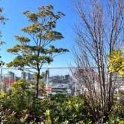 ヒメ日記 2026/01/24 21:28 投稿 陽葵 ラナ 錦糸町