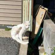 ヒメ日記 2025/04/19 23:46 投稿 陽葵 ニューハーフ・男の娘・女装系デリヘル　ピーチムーン五反田店