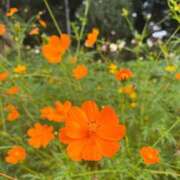 ヒメ日記 2025/05/20 11:47 投稿 陽葵 サクラムーン