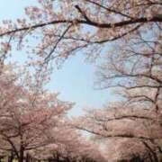 ヒメ日記 2026/04/03 06:07 投稿 ゆの 三つ乱本館