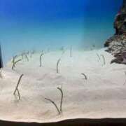 ヒメ日記 2025/10/26 23:04 投稿 桜木みあ 全裸にされた女たちor欲しがり痴漢電車