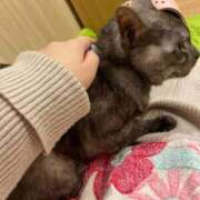 ヒメ日記 2025/11/18 22:32 投稿 朝比奈 しろ しゃせきょっ!XX教育される制服女子たち