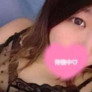 ヒメ日記 2025/07/28 20:38 投稿 しおり 成田富里インターちゃんこ