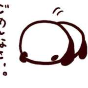 ヒメ日記 2025/11/24 14:08 投稿 しおり 成田富里インターちゃんこ