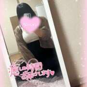 ヒメ日記 2025/04/28 11:41 投稿 爆撃　ゆりの ノーパンパンスト スケベなOL梅田・兎我野店