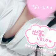 ヒメ日記 2025/05/25 14:54 投稿 爆撃　ゆりの ノーパンパンスト スケベなOL梅田・兎我野店