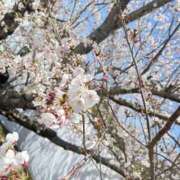 ヒメ日記 2025/04/28 09:25 投稿 こはく スピード難波店