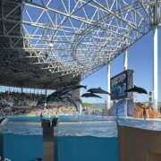 ヒメ日記 2025/05/05 09:25 投稿 こはく スピード難波店