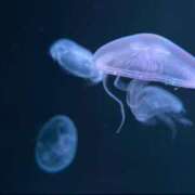 ヒメ日記 2025/05/20 09:05 投稿 こはく スピード難波店